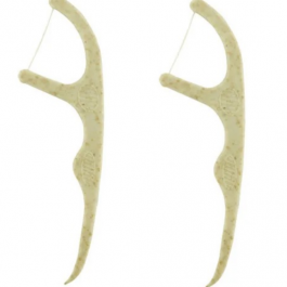WS0001